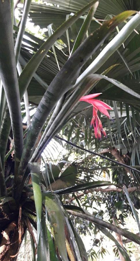 Jardin De Naipi Apartment Puerto Iguazu Luaran gambar