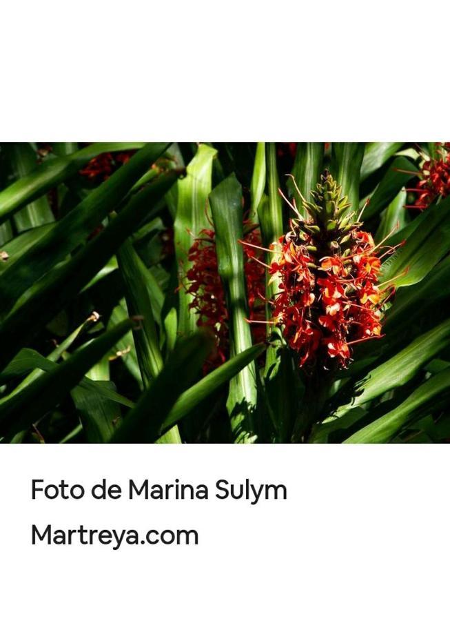 Jardin De Naipi Apartment Puerto Iguazu Luaran gambar
