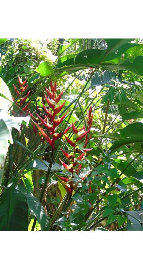 Jardin De Naipi Apartment Puerto Iguazu Luaran gambar
